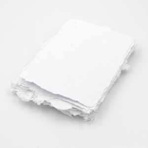 process papers: snowbank