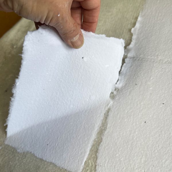 process papers: snowbank - Image 5