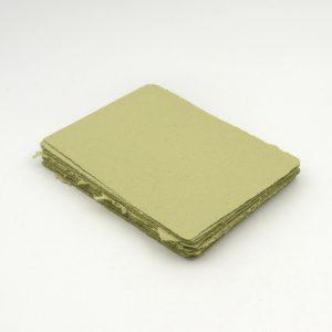 process papers: light lawn