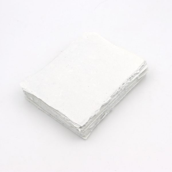 process papers: oxford shirt